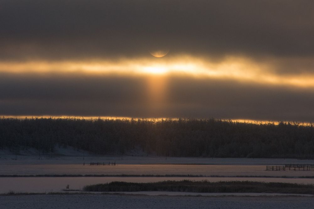 Photograph by Дмитрий Бочкарёв