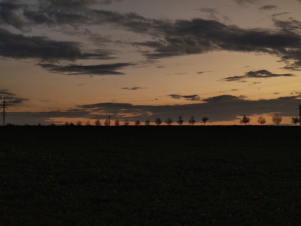 Photograph by Коваль Юлия