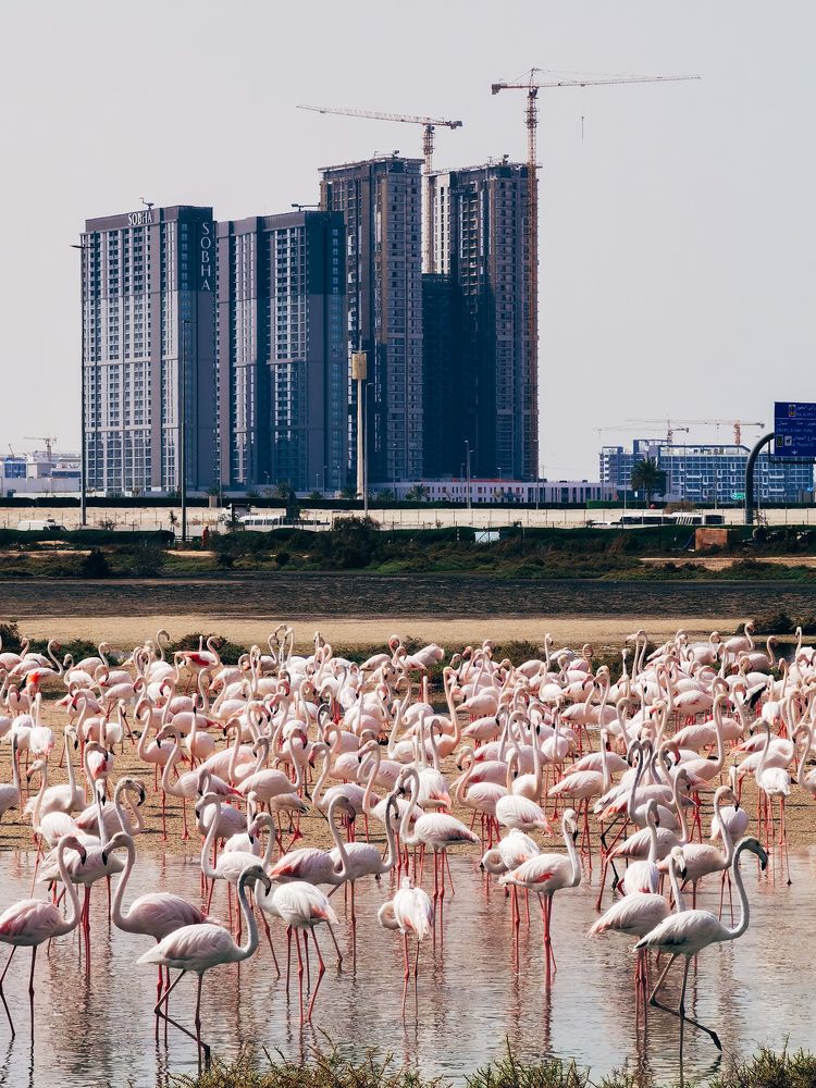 Photograph by Ivan Vetoshkin