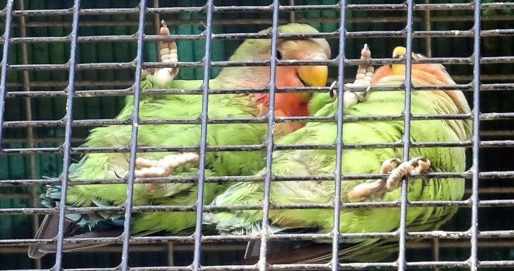 Photograph by Елизавета Маринен