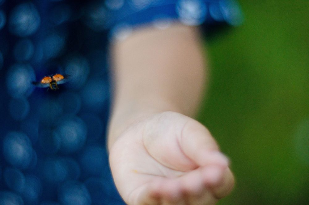 Photograph by Елена Троянская