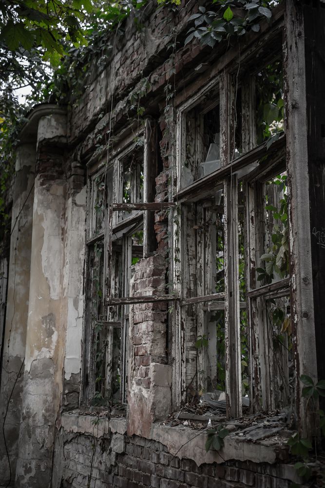 Photograph by Сергей Немцев