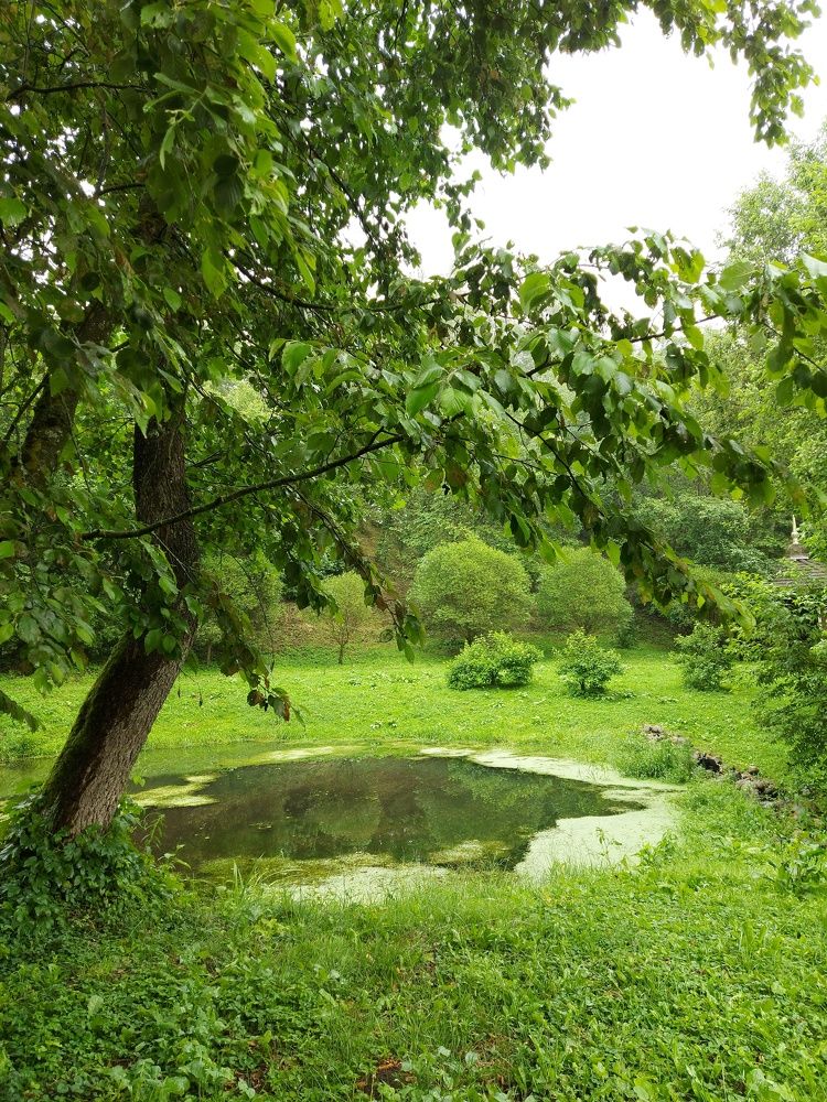 Photograph by ЭЛЬМИРА  ИСМАИЛОВА