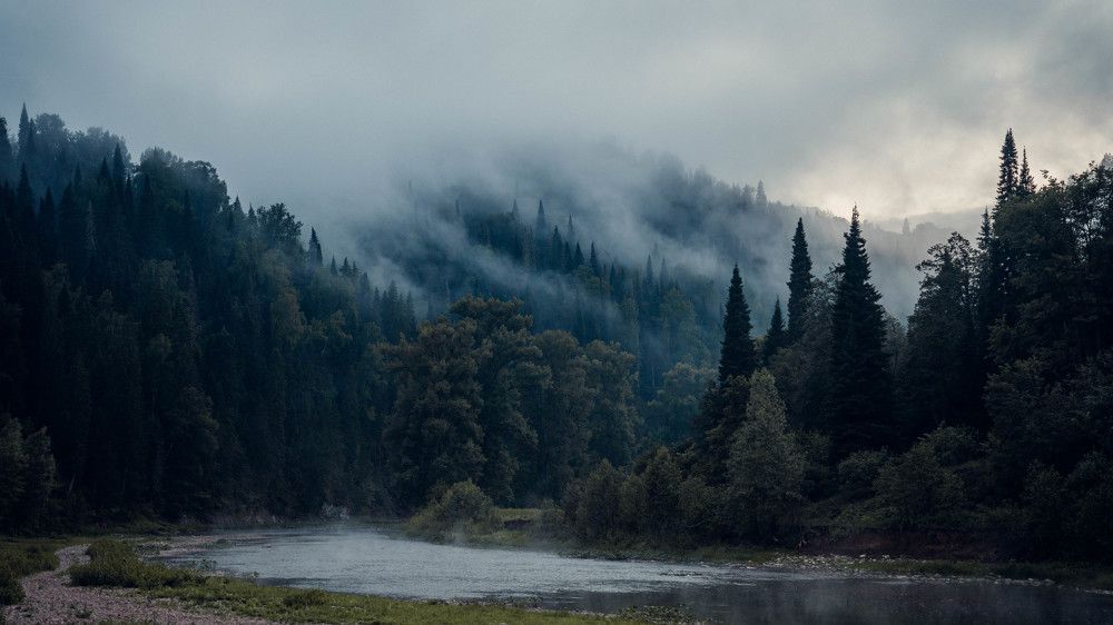 Photograph by Максим Медведев