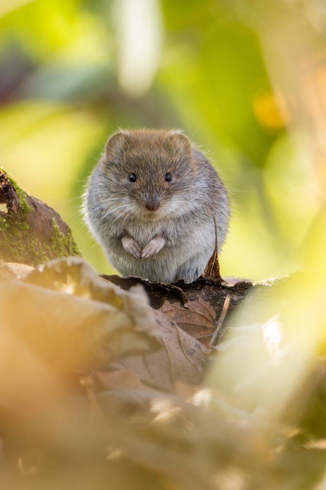 Photograph by Бурыкин Илья