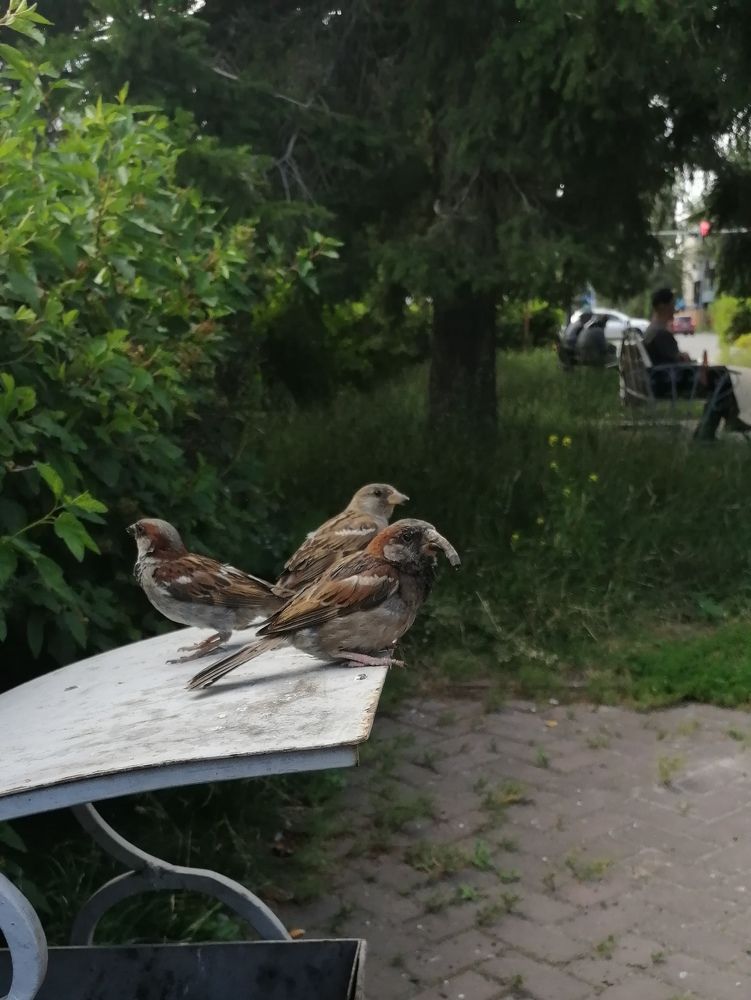 Photograph by Полина Родюкова