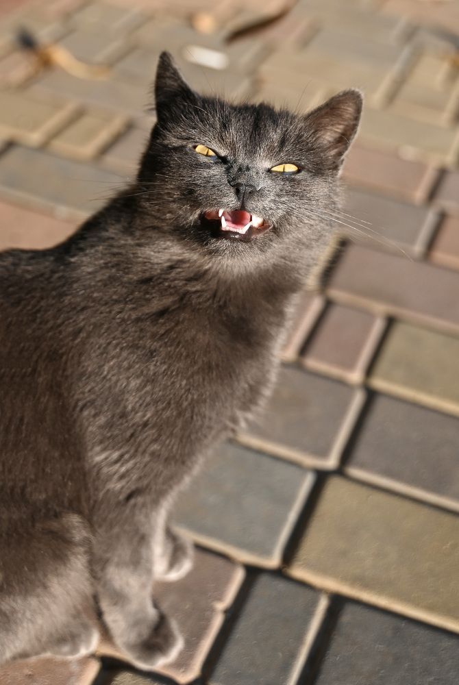 Photograph by Геннадий