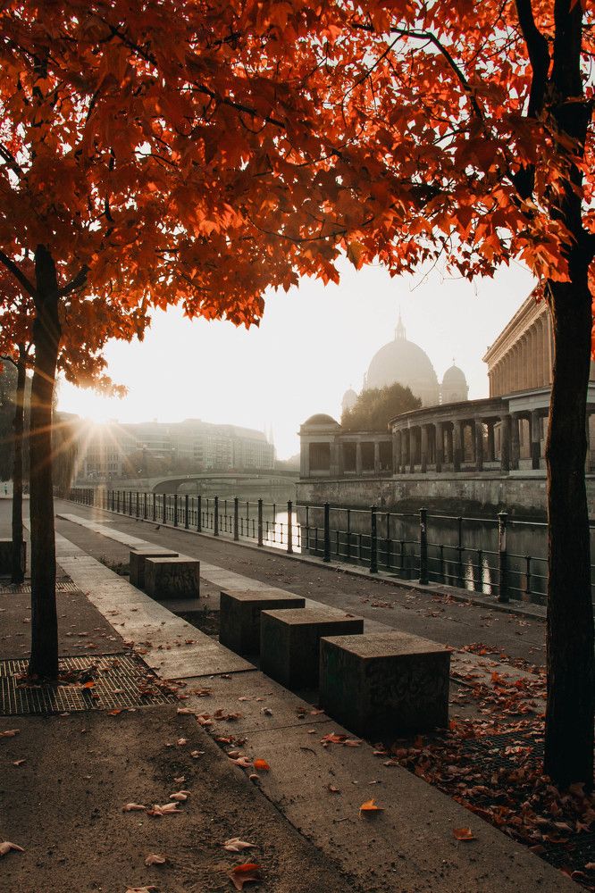 Photograph by Анна Рожкова