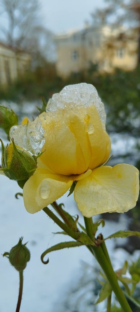 Photograph by Любовь Макарова