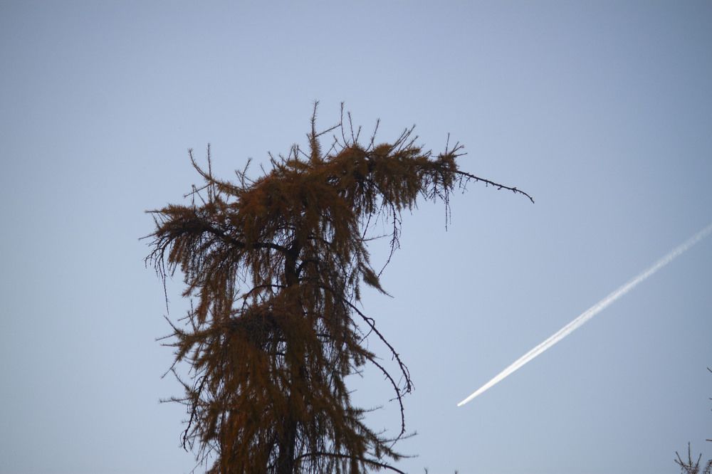 Photograph by Владислав Капанов