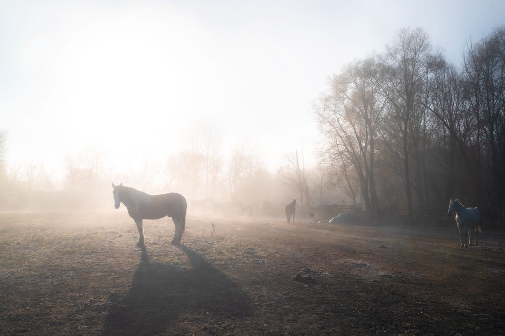 Фотография автора Михаил Назаров