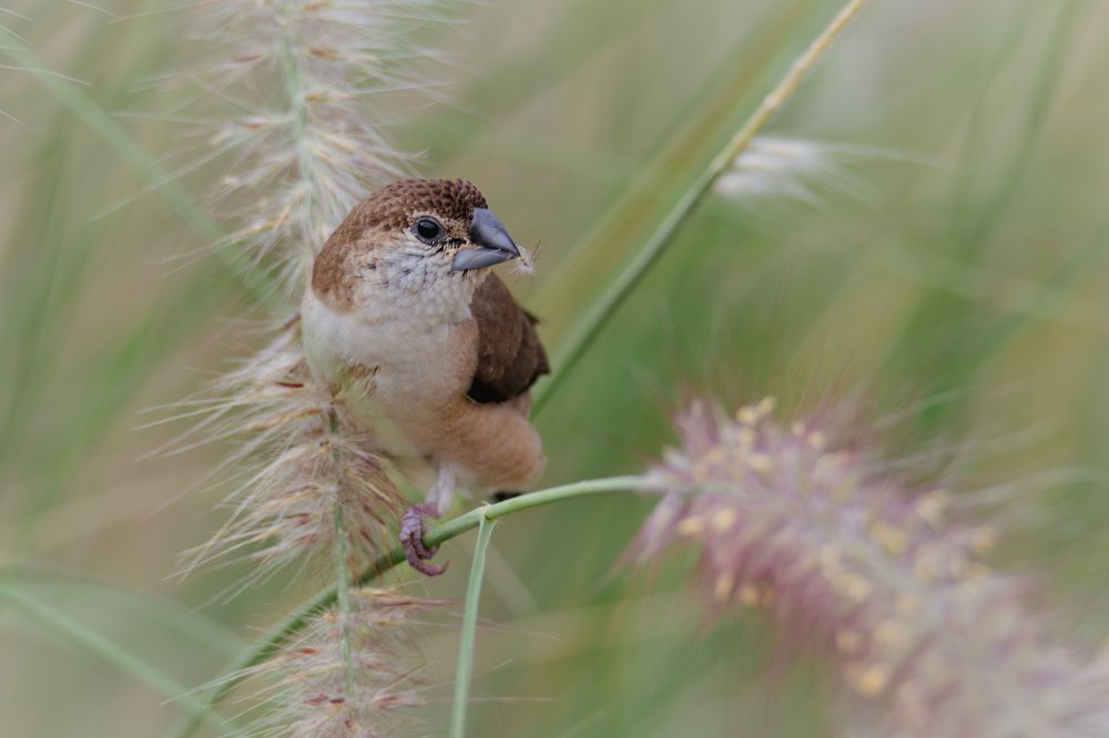 Фотография автора Anne Shchurok