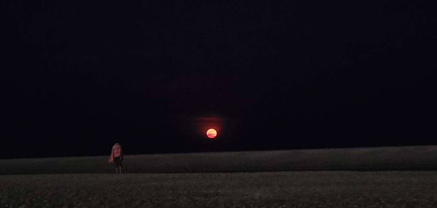 Photo #11292288