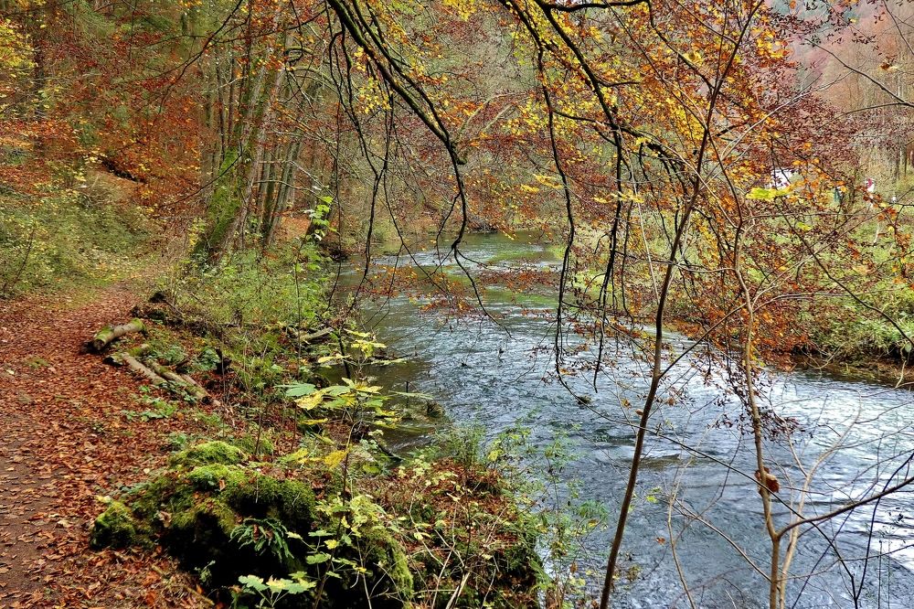 Photograph by backareva irina