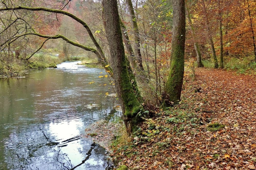 Photograph by backareva irina