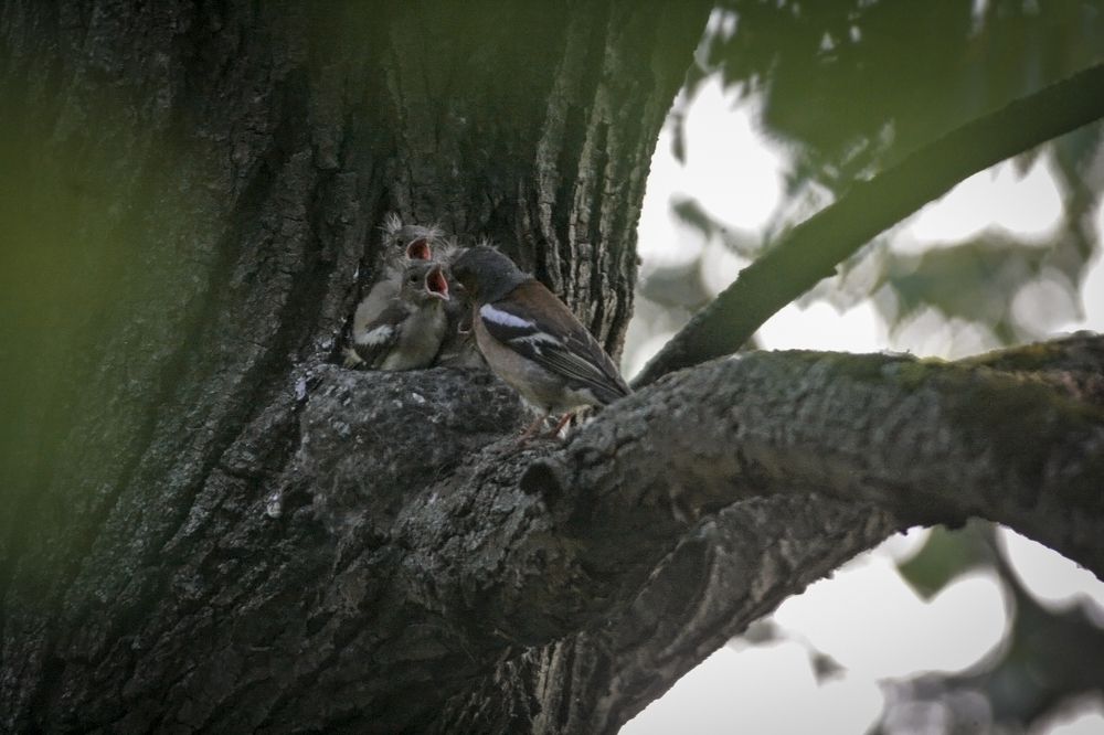 Photograph by Дарья Улюсова