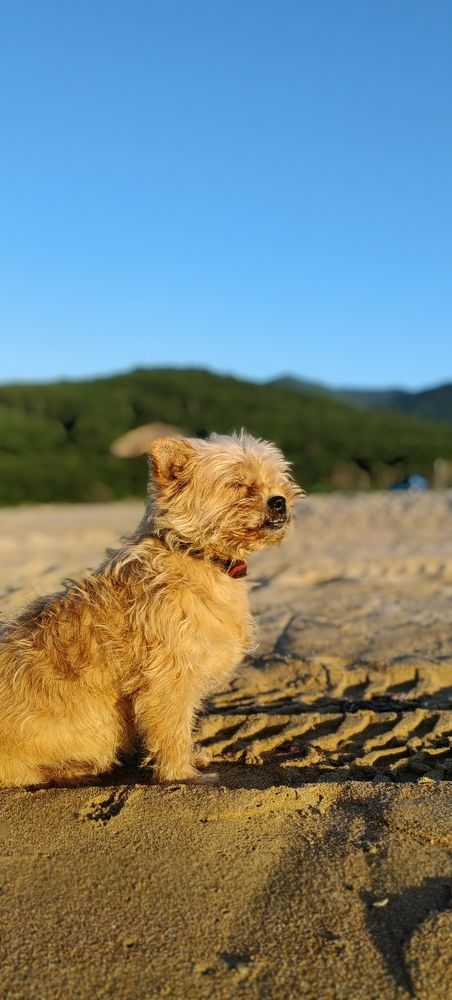 Photo #11292380