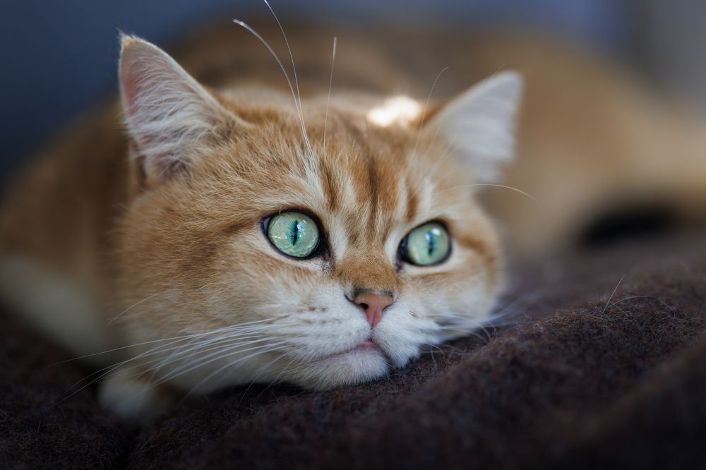 Photograph by Louisa85