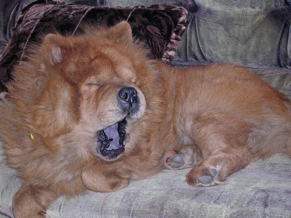 Photograph by Оксана Трофименко