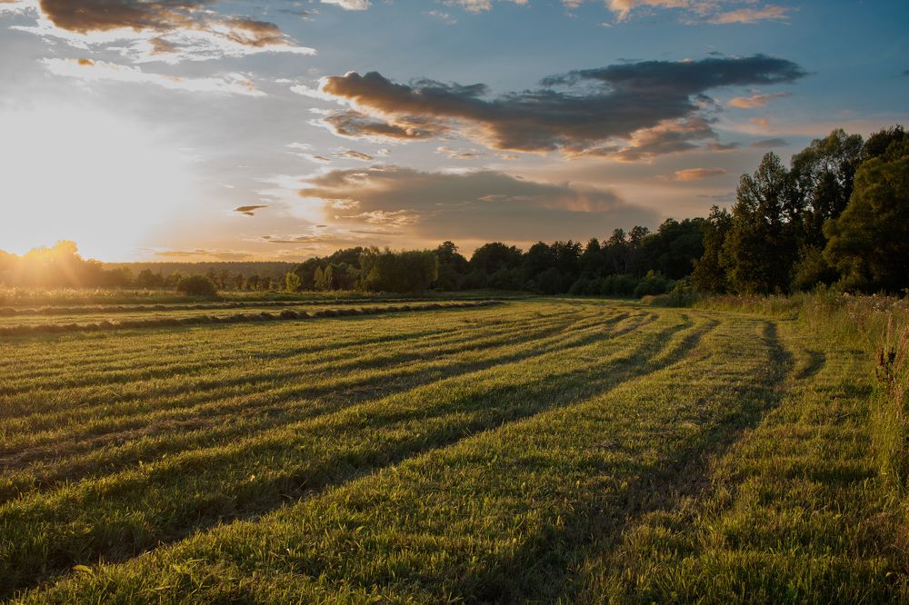 Photograph by Маргарита Сенченко