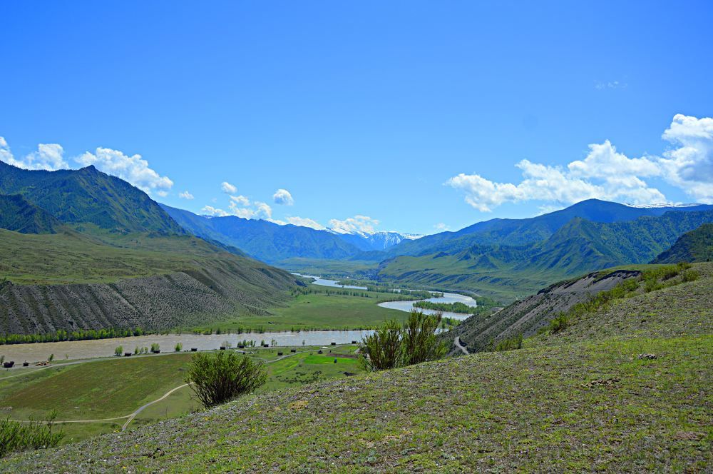 Photograph by Елена