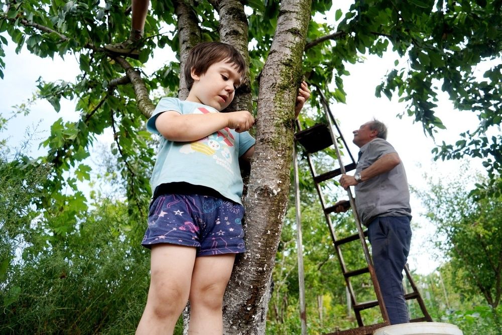 Photograph by Катерина Зелёная