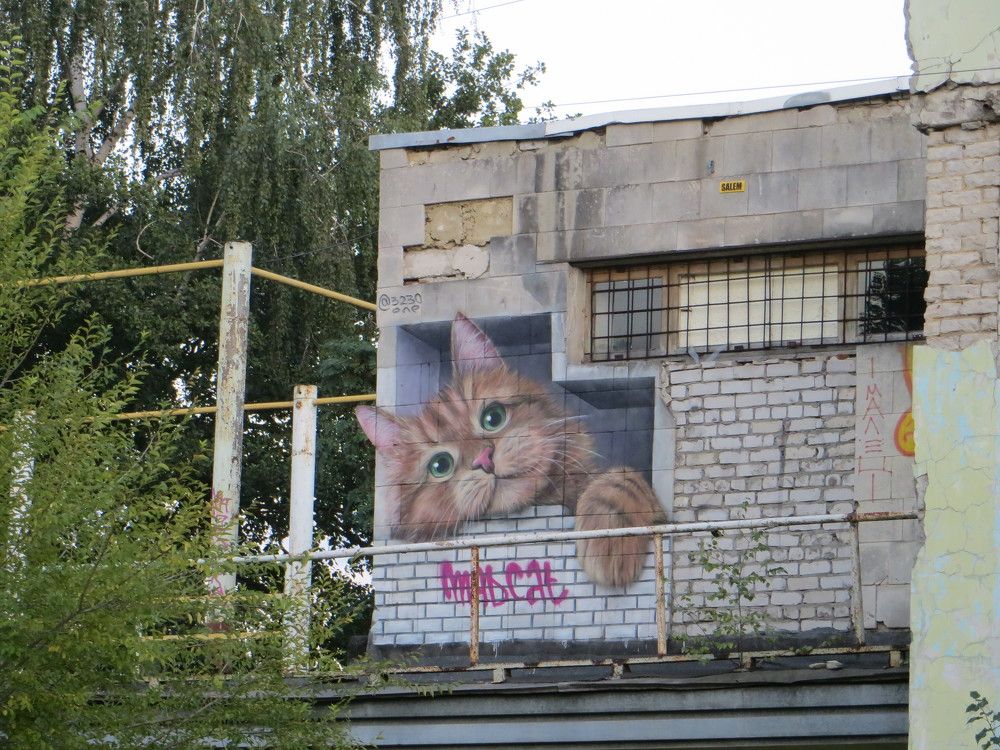 Photograph by Татьяна Поминова