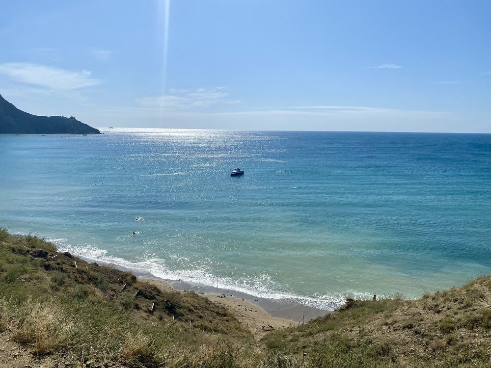 Photograph by Елена