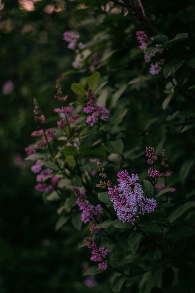 Photograph by Ирина Шилова