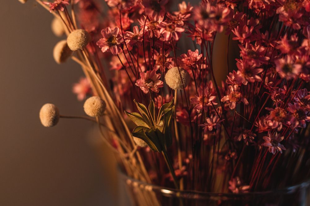 Photograph by Ирина Шилова