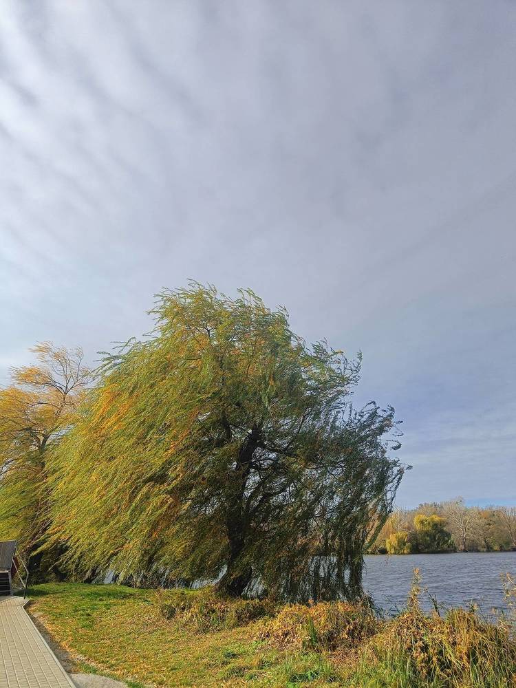 Photograph by Карина Слабкая