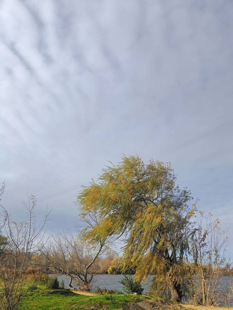 Photograph by Карина Слабкая