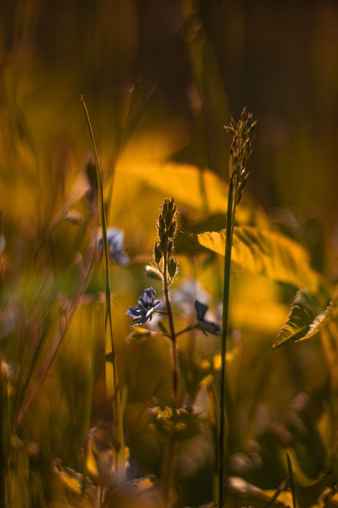 Photograph by Ирина Шилова