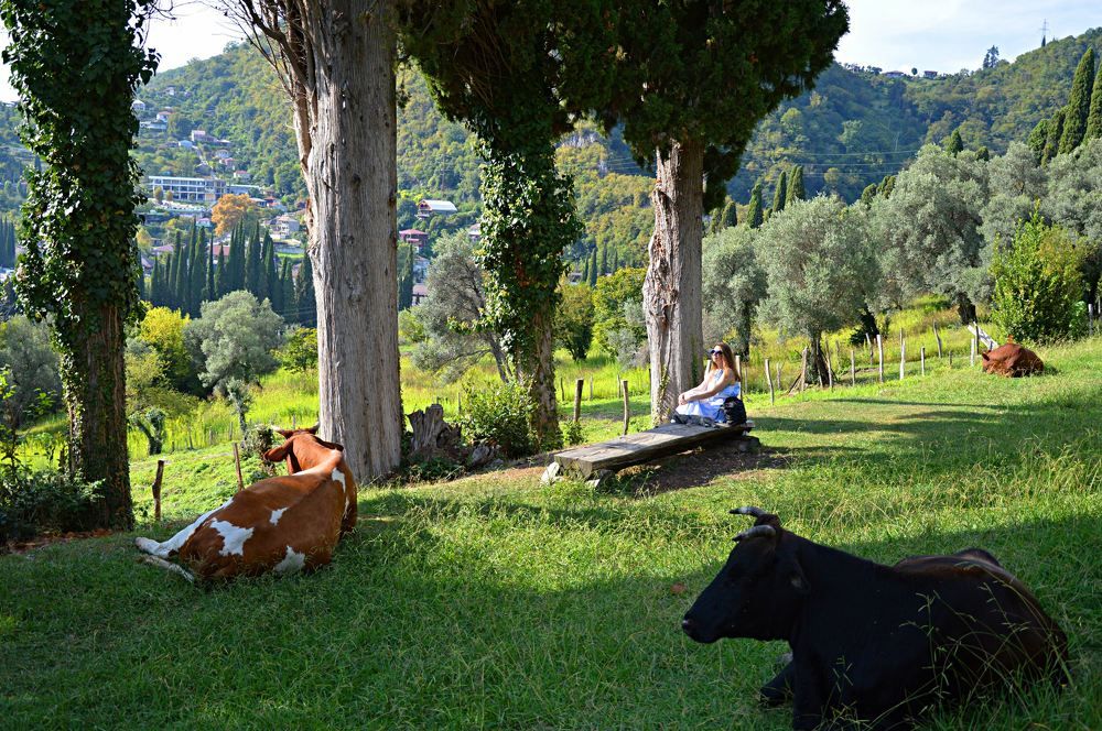 Photograph by Елена Савчук