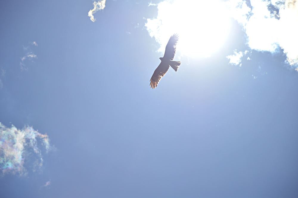 Photograph by Елена Савчук