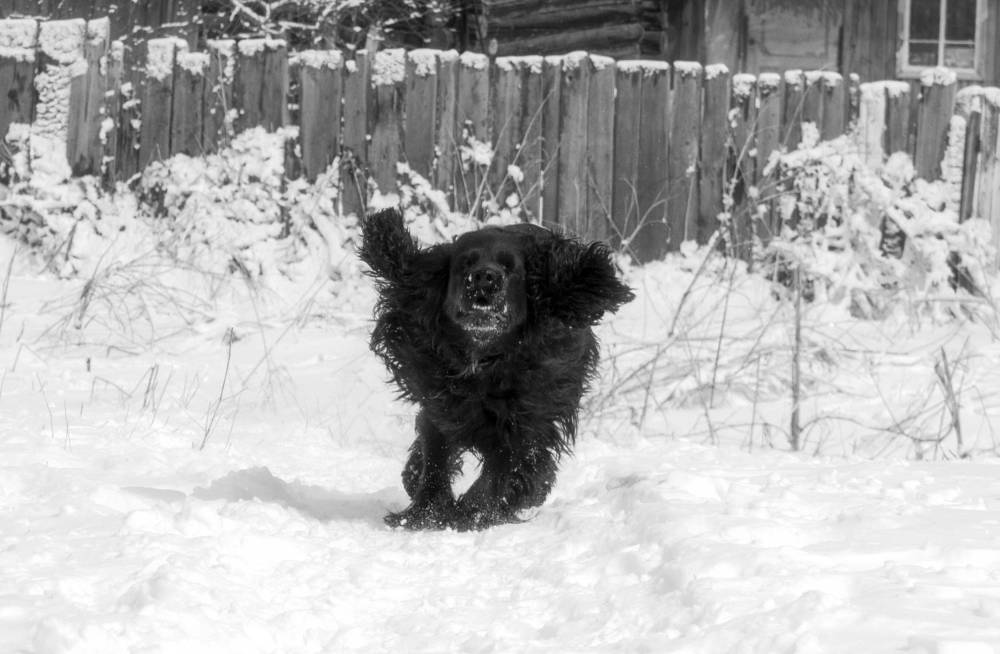 Фотография автора Veronika Shuster