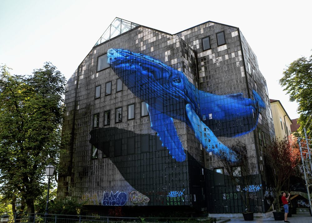 Photograph by Таймураз Гумеров