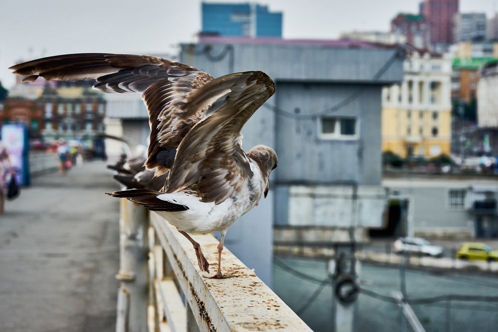 Photograph by Лариса Неман