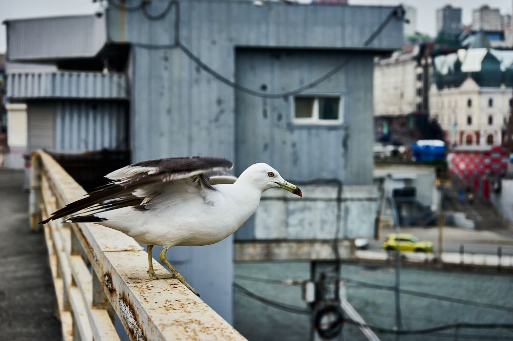 Photograph by Лариса Неман