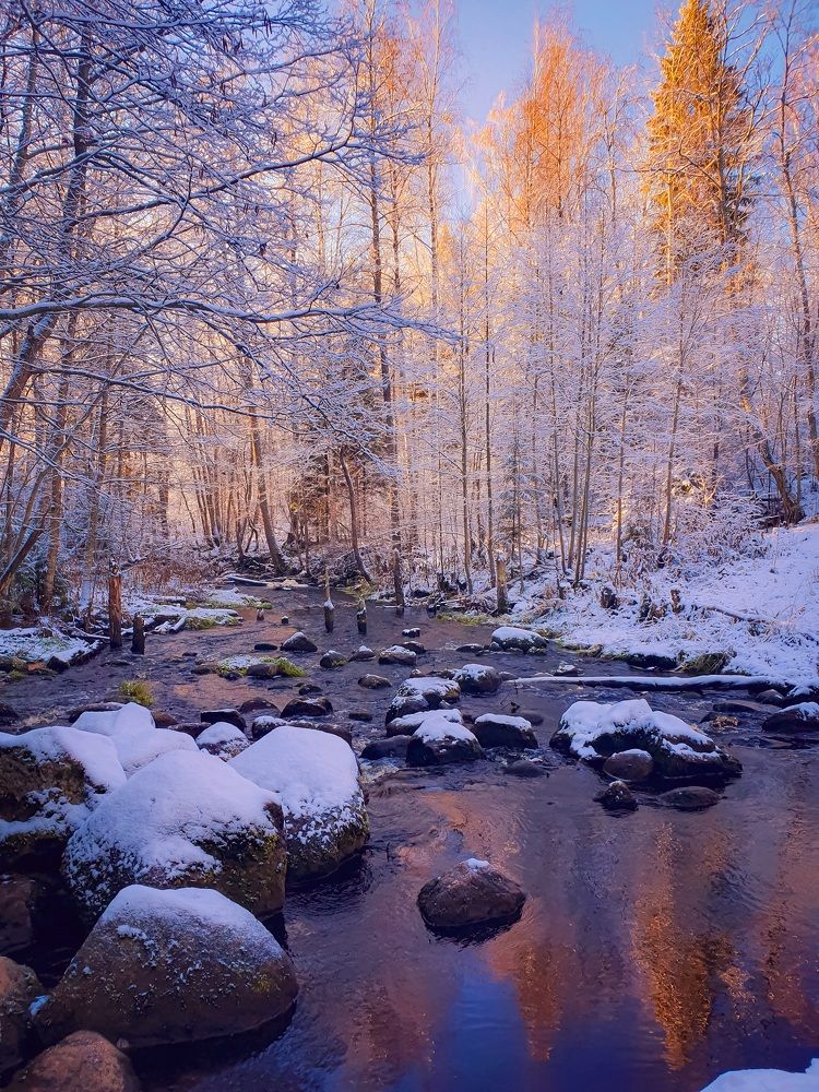 Фотография автора Inna Evseeva