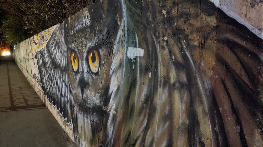 Photograph by Дудников Александр