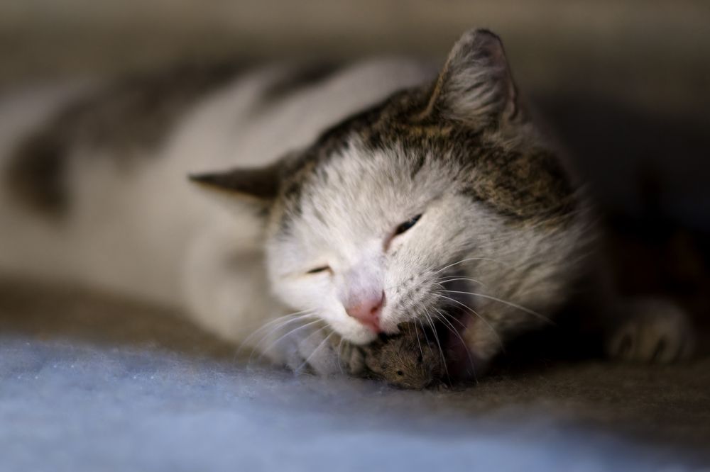 Photograph by Александр Перегудов