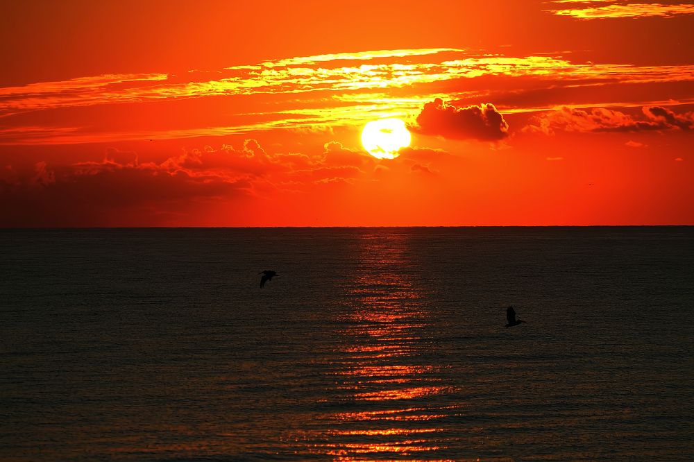 Фотография автора Jeff Cooley