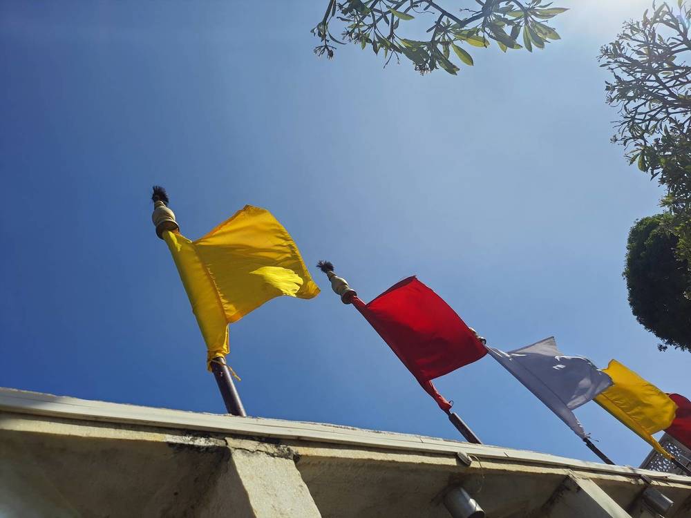 Фотография автора nisha de sousa