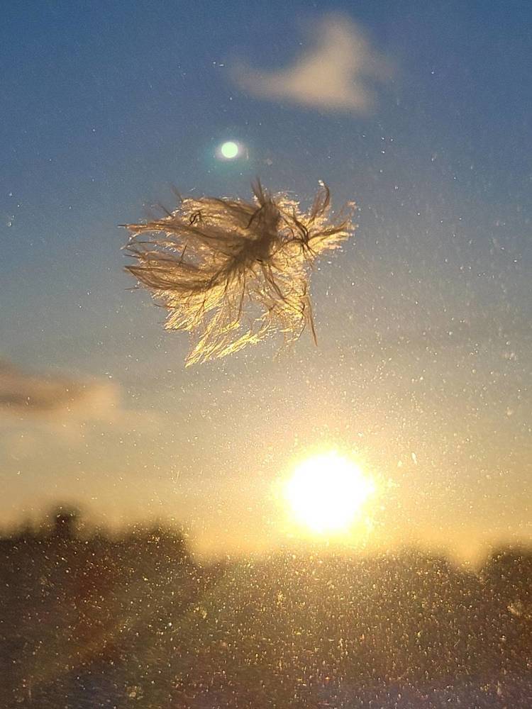 Фотография автора Казакова Людмила Ивановна