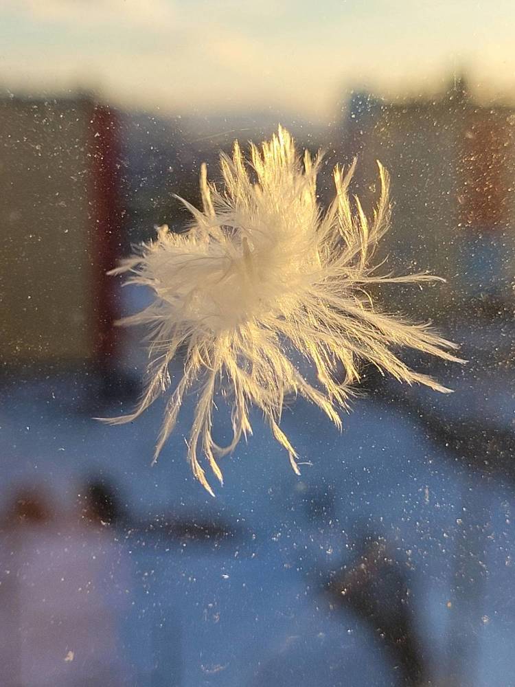 Фотография автора Казакова Людмила Ивановна