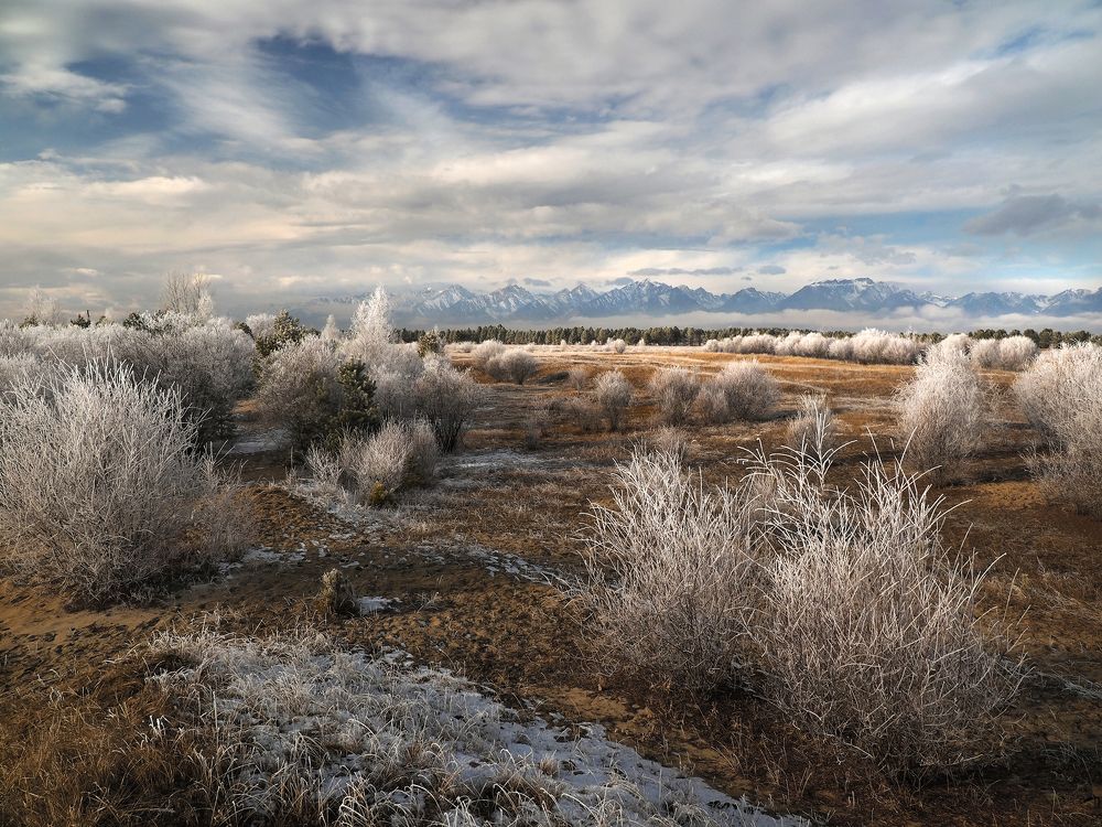 Photograph by Александр Попов