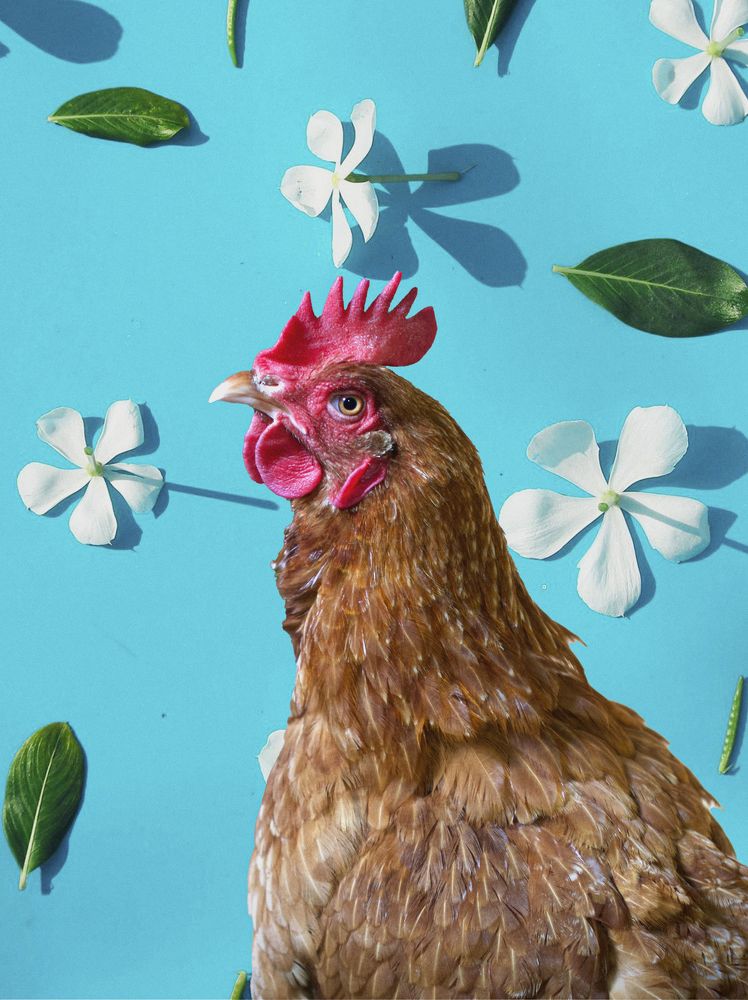 Photograph by Валентина Надежина