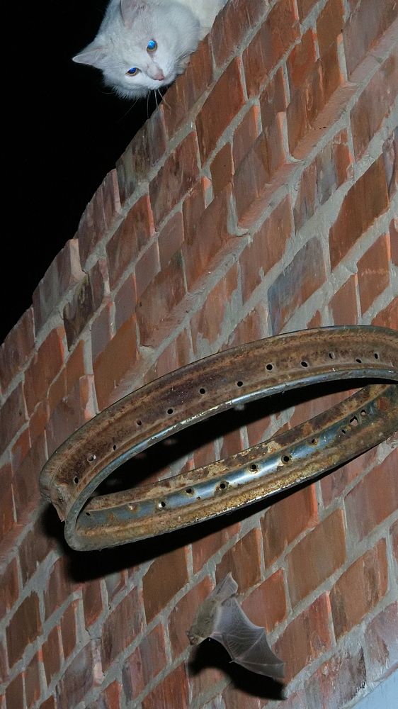 Photograph by Markov Alexander