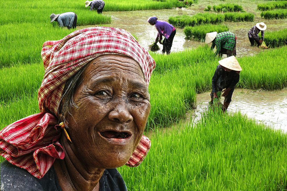 Photograph by Vy Van Bui